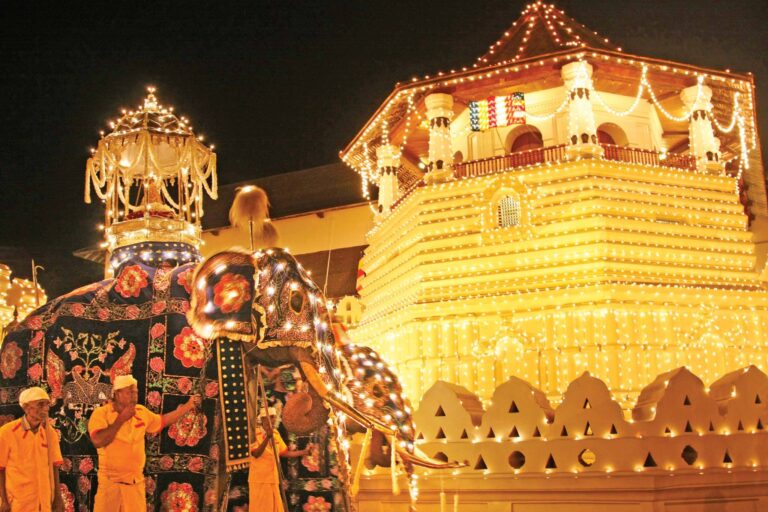 Experience the Grandeur of the Kandy Esala Perahera.