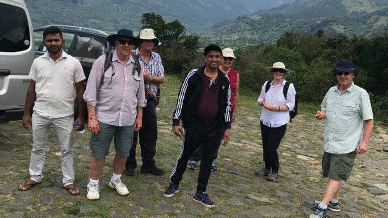 Incredible Transport Service Packages You’ll Love